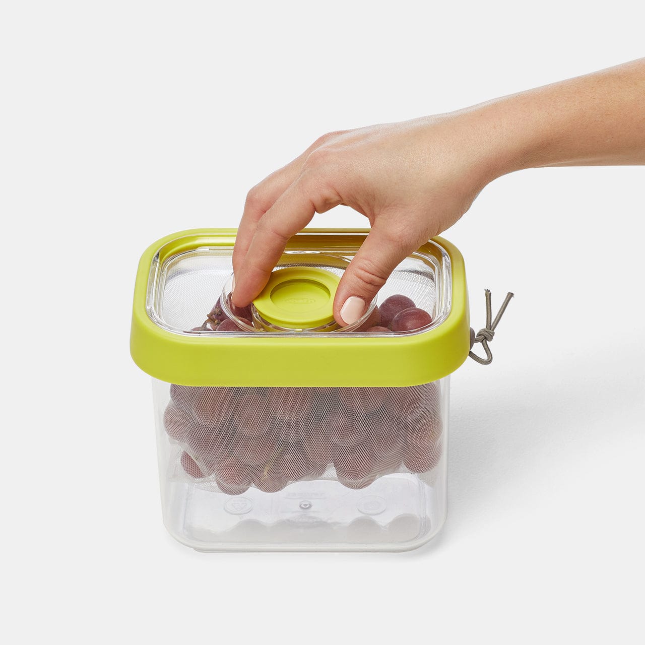 Chef'n Fresh 'n Store Small Produce Storage Container