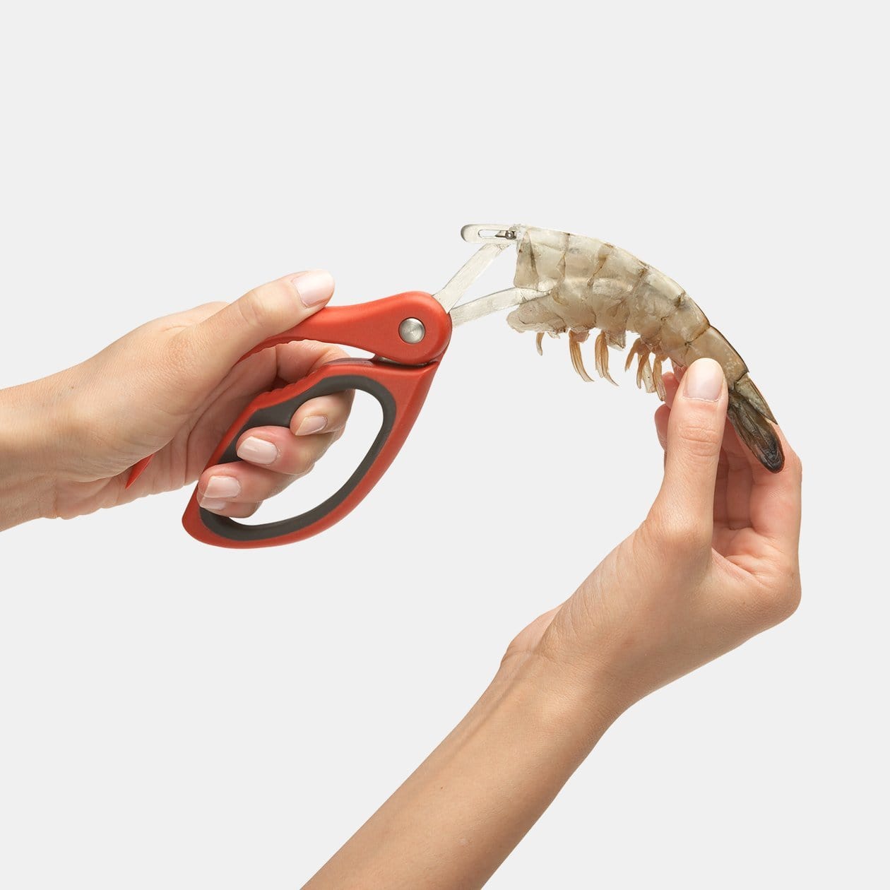 Chef'n Accessories & Tools Hightailer Shrimp Deveiner