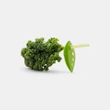 OXO Lettuce Knife with Kale Stripper – The Kitchen