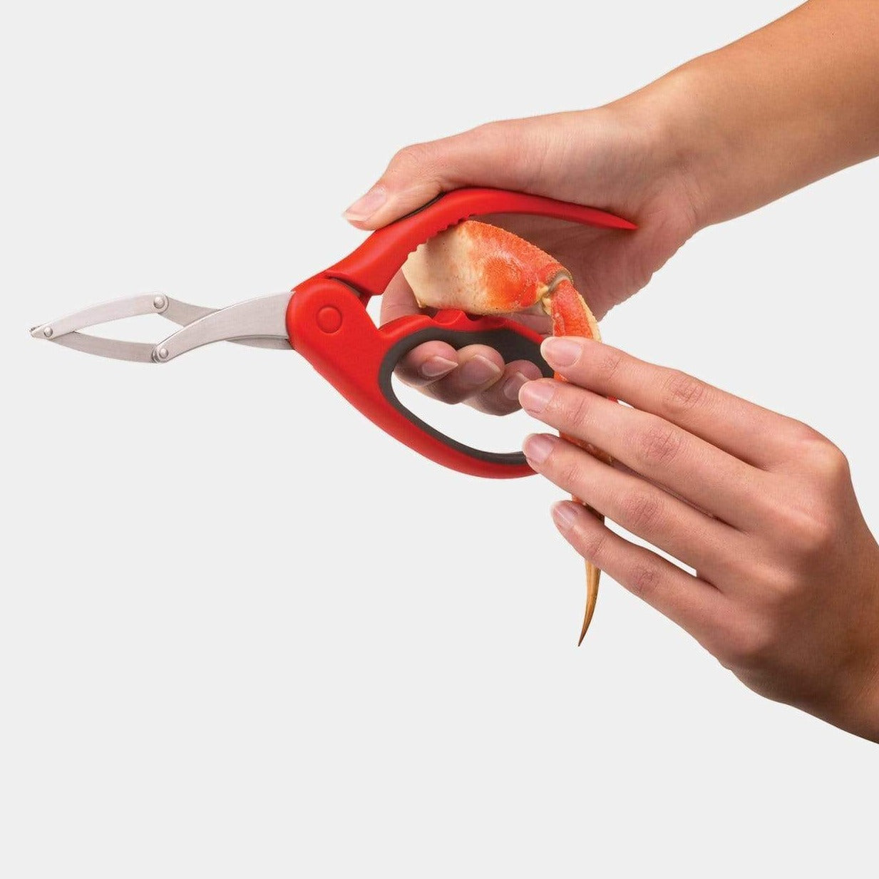 Chef'n Accessories & Tools Wisecracker Crab Cracker